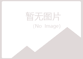 阳朔县字迹咨询有限公司